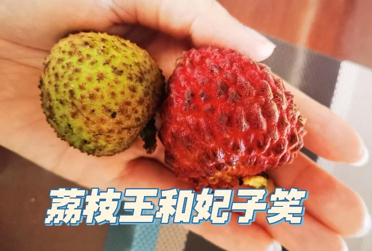2025新奥资料正版大全和商家互砸西瓜丢荔枝与